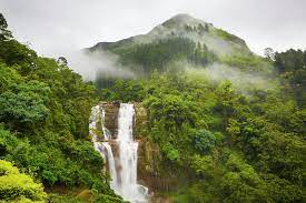 SRI LANKA FOUR DAYS TOUR SRI LANKA FOUR DAYS TOUR